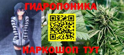 альфа пвп Малгобек