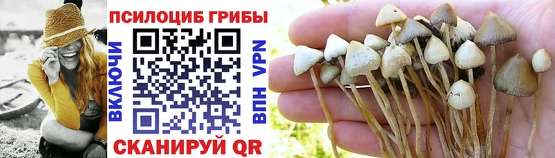 закладка  hydra ссылка  Галлюциногенные грибы Magic Shrooms  Ишим 