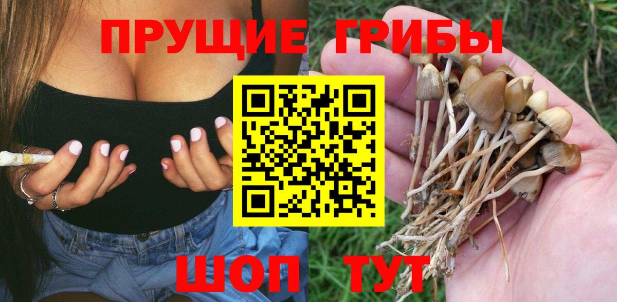 Ишим  Галлюциногенные грибы мицелий  Вход с VPN 