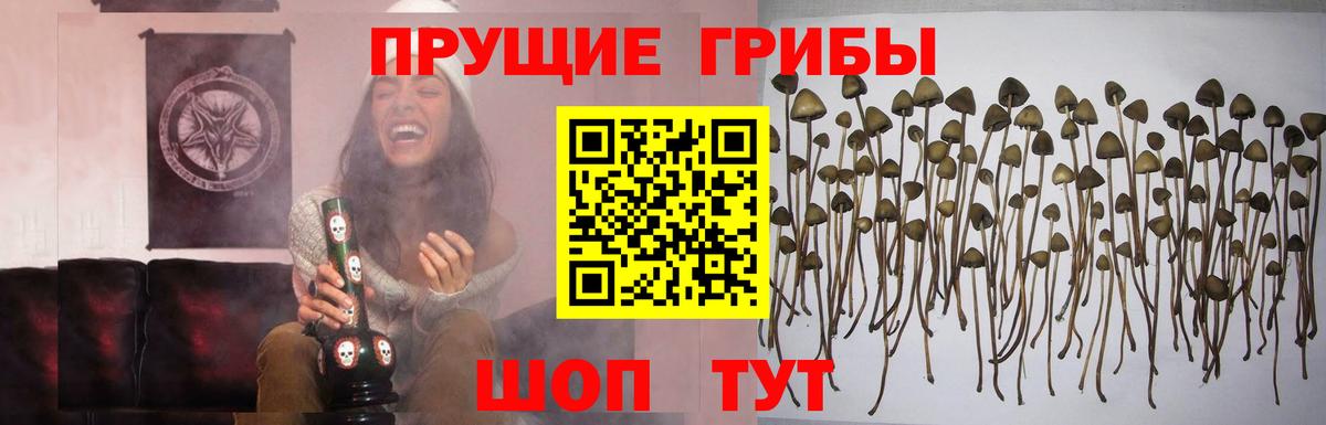 Псилоцибиновые грибы мухоморы Ишим